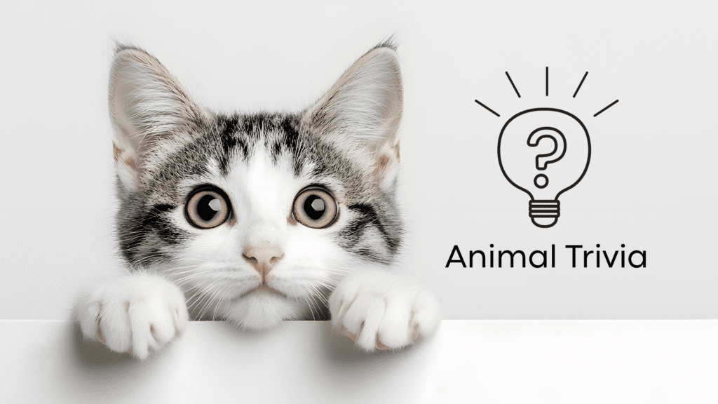 Vet near me quiz for dogs and cats at Finn Hill Animal Hospital in Kirkland