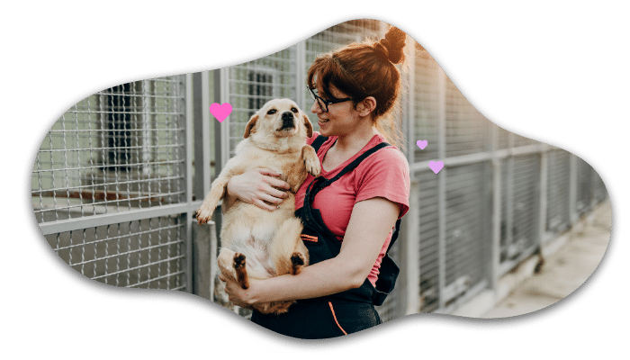 Adopting a shelter pet in Kirkland with guidance from Finn Hill Animal Hospital
